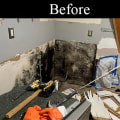 Mold Remediation: A Crucial Step Before South Salt Lake Renovations