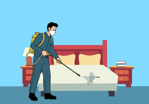 Home Renovation and Bed Bug Control in Fayetteville