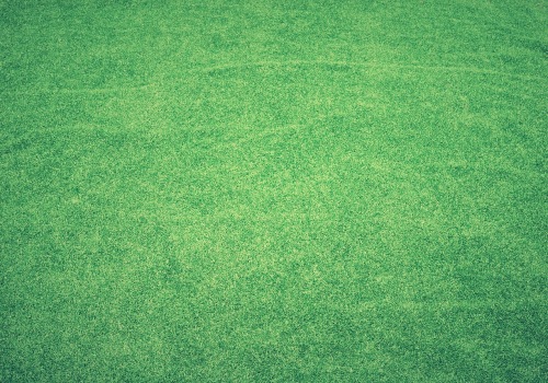 Transform Your Home with Expert Lawn Care in Ashburn